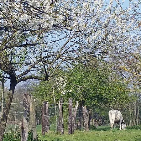 La Cense Pierrot Des Princes *